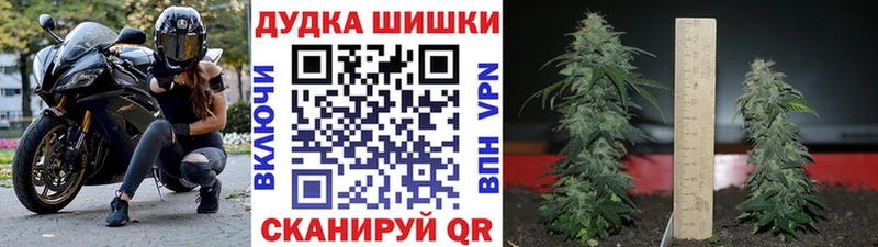 Где купить наркоту Гусиноозёрск Марихуана АМФЕТАМИН Альфа ПВП ГАШИШ Кокаин