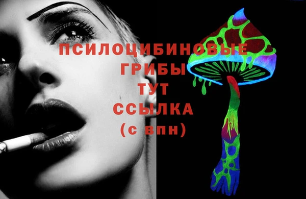 Альфа ПВП Пестово