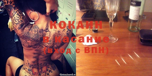 индика Алзамай